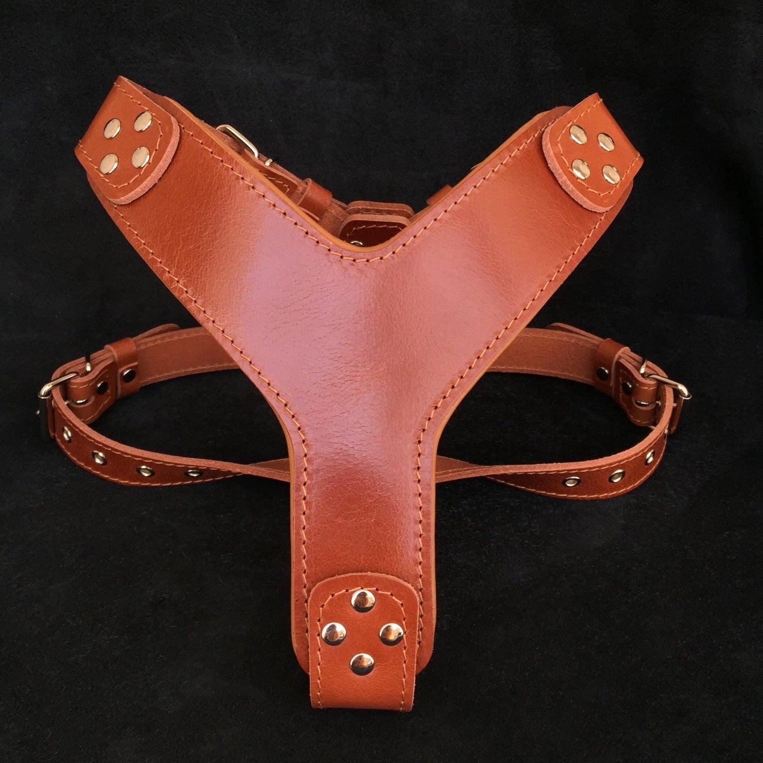 Harnesses for Large Breeds