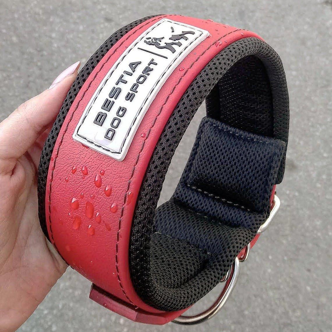 DOG SPORT COLLAR RED