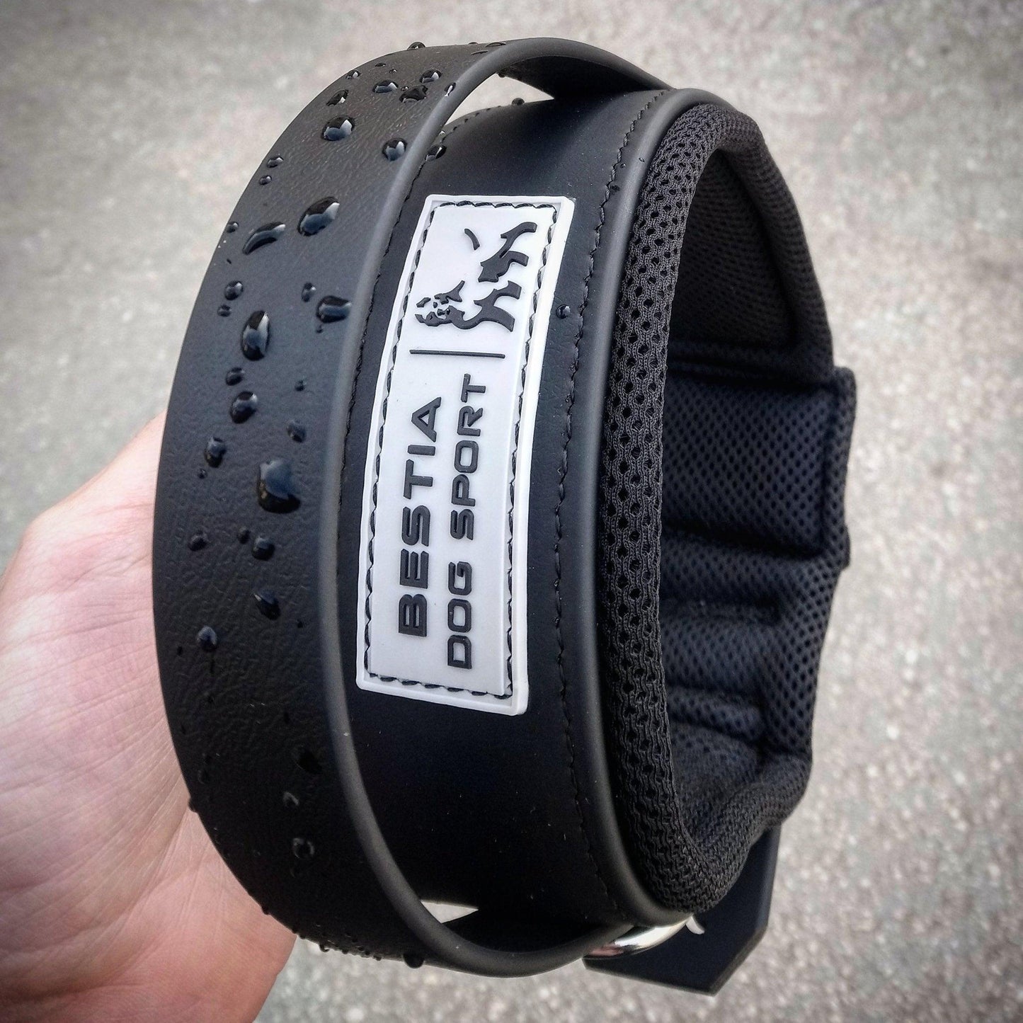 DOG SPORT HANDLE COLLAR