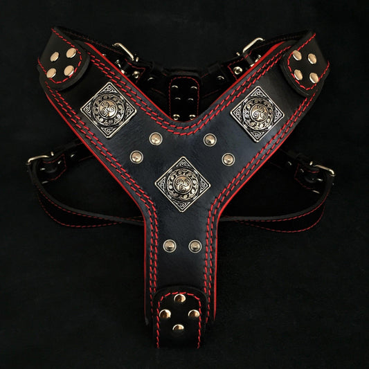 The "Eros" harness black & red