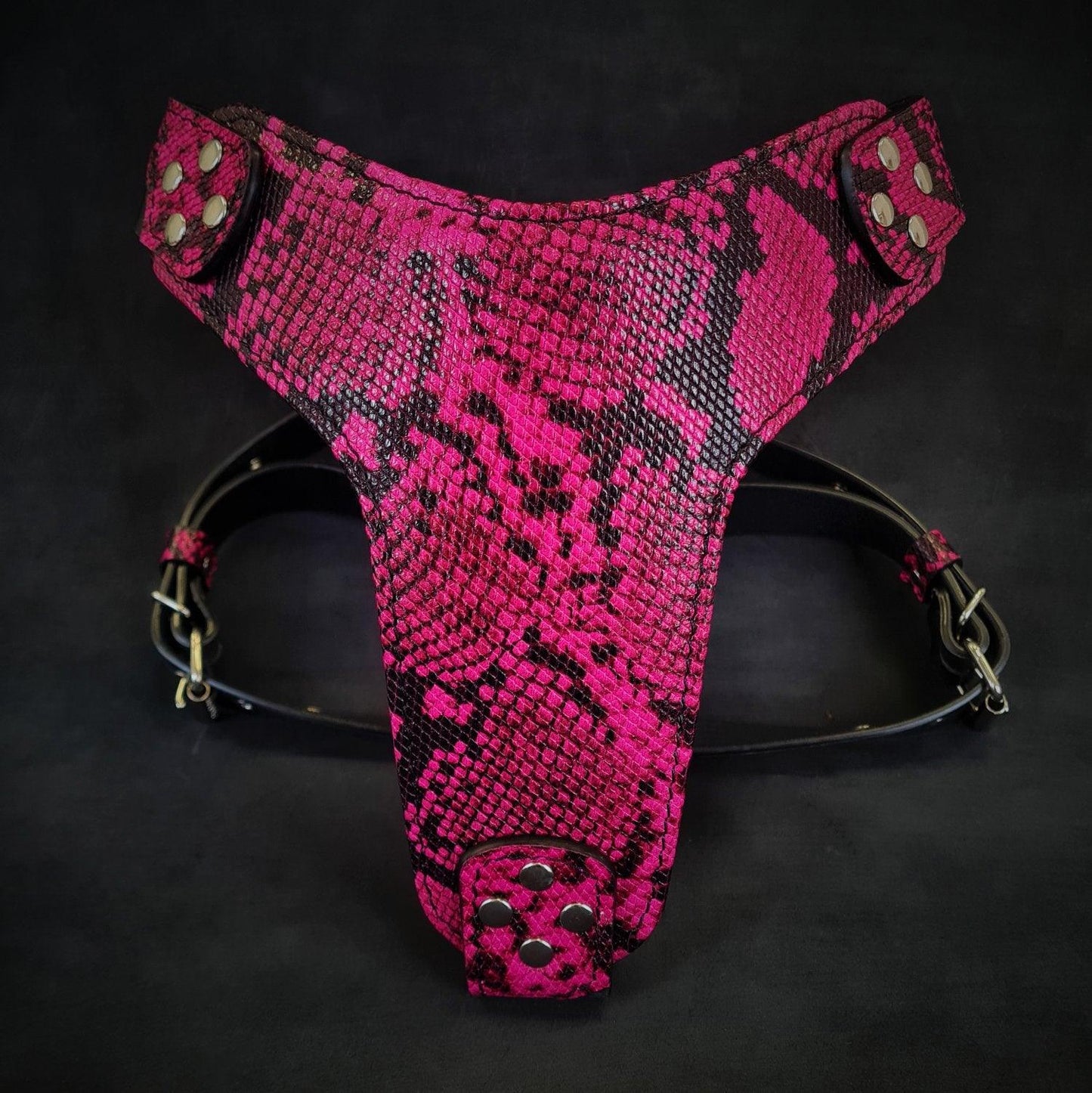 The ''Rock Python'' harness PINK